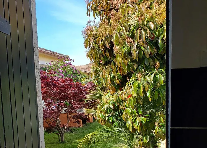 D'hote Kalango Proche De La Plage-piscine *