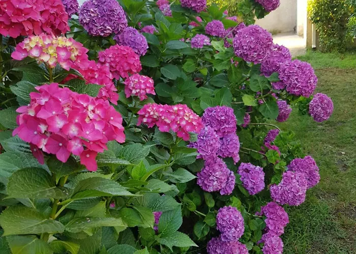 Kwatera prywatna D'hote Kalango Proche De La Plage-piscine Lucciana (Corsica)